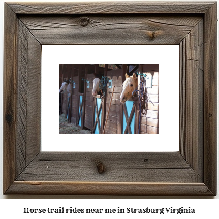 horse trail rides near me in Strasburg, Virginia